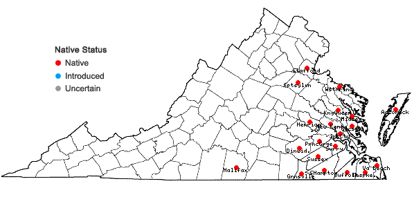 Locations ofDichanthelium ensifolium (Baldwin ex Elliott) Gould in Virginia