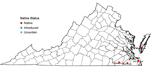 Locations ofDichanthelium filiramum (Ashe) LeBlond in Virginia