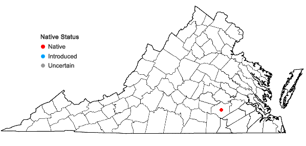 Locations ofDichanthelium fusiforme (Hitchcock) Harvill in Virginia