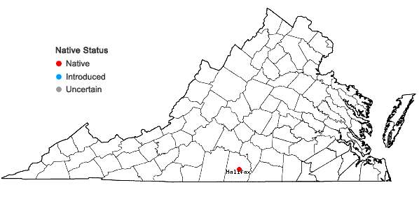 Locations ofDichanthelium harvillii Ludwig & LeBlond in Virginia