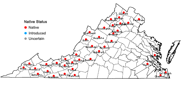 Locations ofDichanthelium latifolium (L.) Harvill in Virginia