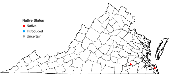 Locations ofDichanthelium mundum (Fern.) LeBlond in Virginia