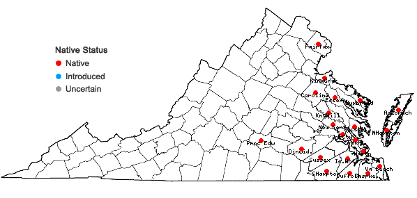 Locations ofDichanthelium oligosanthes (J.A. Schultes) Gould in Virginia