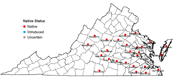 Locations ofDichanthelium ovale (Ell.) Gould & C.A. Clark var. addisonii (Nash) Gould & C.A. Clark in Virginia