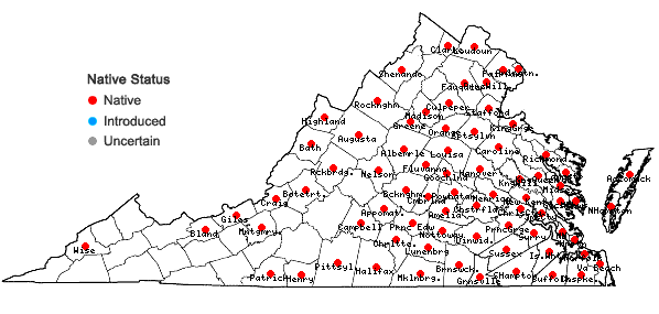 Locations ofDichanthelium polyanthes (Schultes) Mohlenbrock in Virginia