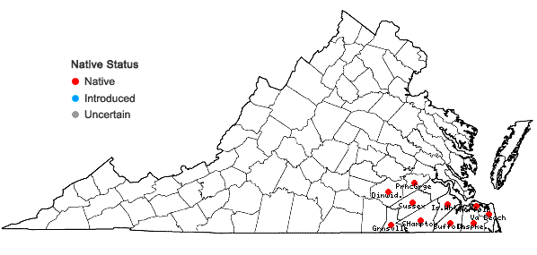 Locations ofDichanthelium scabriusculum (Ell.) Gould & C.A. Clark in Virginia