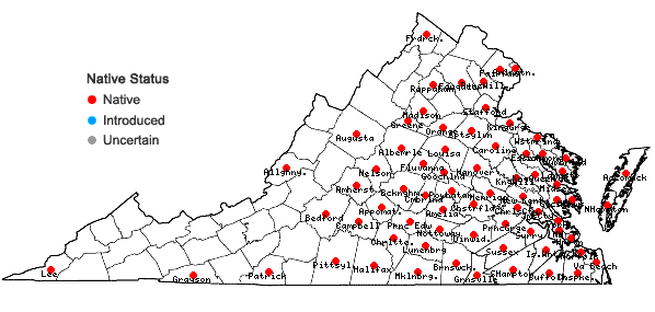 Locations ofDichanthelium scoparium (Lam.) Gould in Virginia