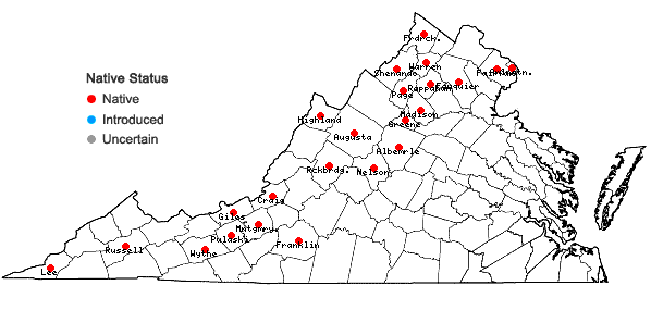 Locations ofDichanthelium scribnerianum (Nash) J.R. Thomas in Virginia