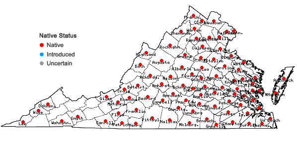 Locations ofDichanthelium sphaerocarpon (Ell.) Gould in Virginia