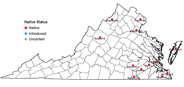 Locations ofDichanthelium spretum (J.A. Schultes) Freckmann in Virginia