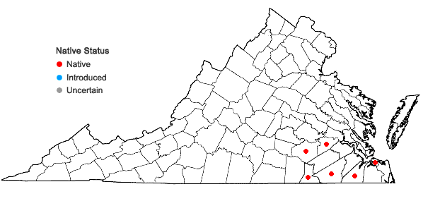 Locations ofDichanthelium strigosum (Muhl. ex. Ell.) Freckmann var. strigosum in Virginia