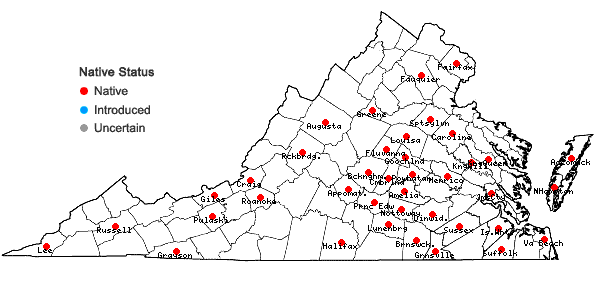 Locations ofDichanthelium villosissimum (Nash) Freckmann var. villosissimum in Virginia