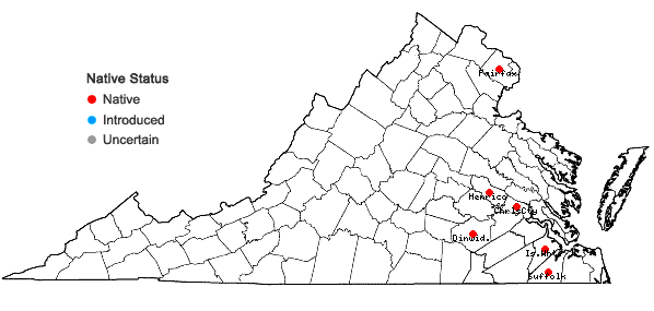 Locations ofDichelyma capillaceum (With.) Myrin in Virginia