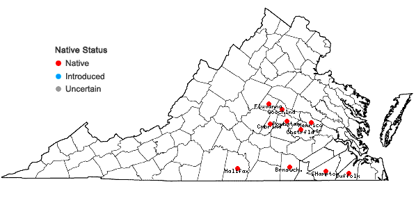 Locations ofDicliptera brachiata (Pursh) Sprengel in Virginia