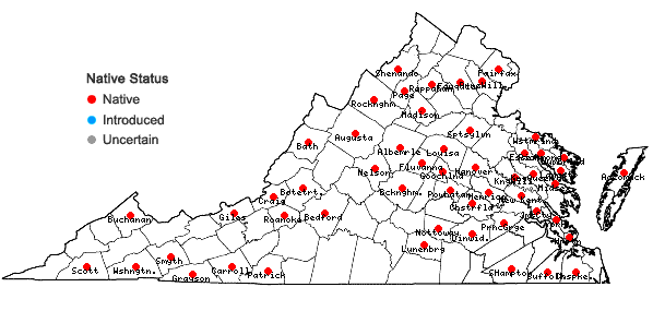 Locations ofDicranella heteromalla (Hedw.) Schimp in Virginia
