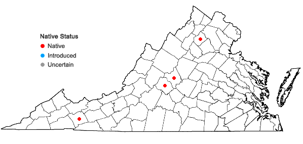 Locations ofDicranella rufescens (With.) Schimp. in Virginia