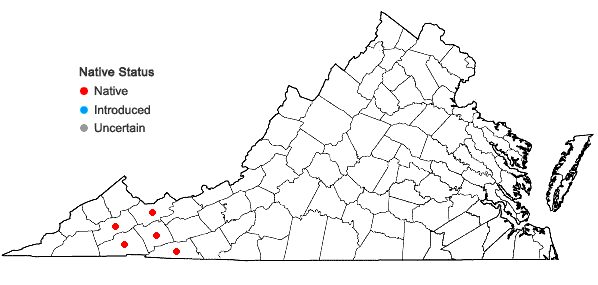 Locations ofDicranodontium asperulum (Mitt.) Broth. in Virginia