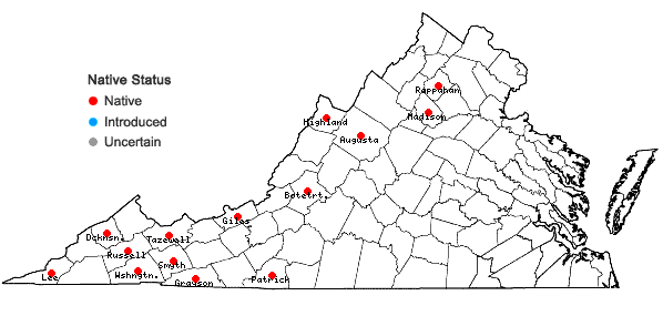 Locations ofDicranodontium denudatum (Brid.) E. Britton in Virginia