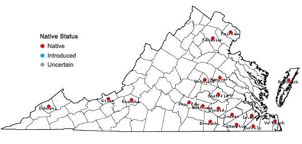 Locations ofDicranum condensatum Hedw. in Virginia