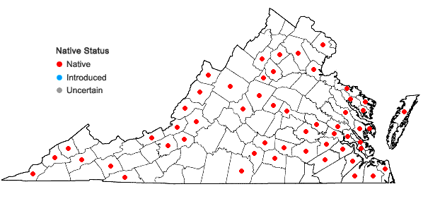 Locations ofDicranum flagellare Hedwig in Virginia