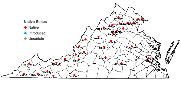 Locations ofDicranum fulvum Hooker in Virginia