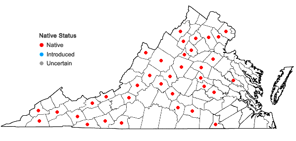 Locations ofDicranum montanum Hedwig in Virginia