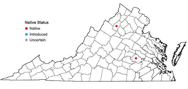 Locations ofDicranum muehlenbeckii Bruch & Schimp. in Virginia