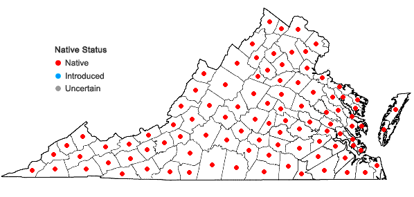 Locations ofDicranum scoparium Hedwig in Virginia