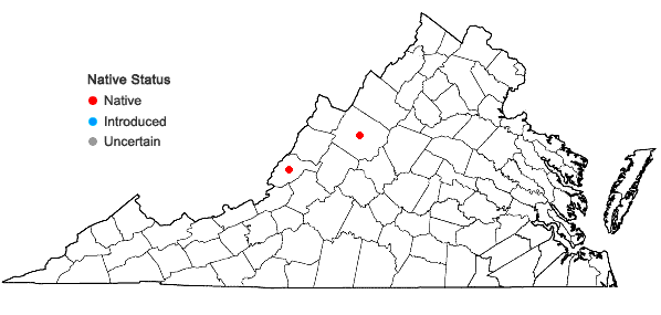 Locations ofDicranum undulatum Schrad. ex Brid. in Virginia