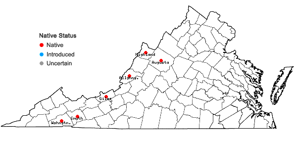 Locations ofDidymodon fallax (Hedw.) R.H. Zander  in Virginia