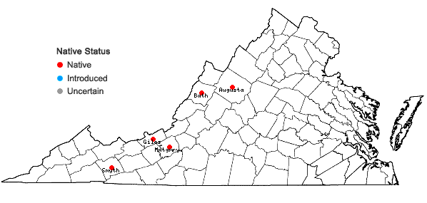 Locations ofDidymodon ferrugineus (Schimp. ex Besch.) M.O. Hill in Virginia