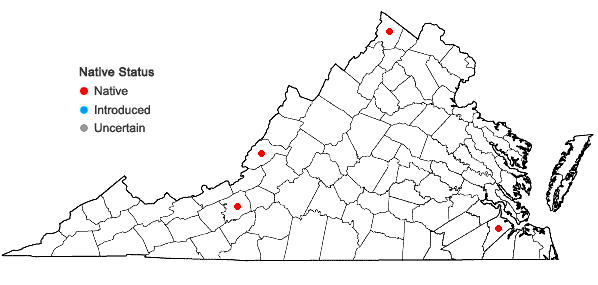 Locations ofDidymodon tophaceus (Brid.) Lisa in Virginia