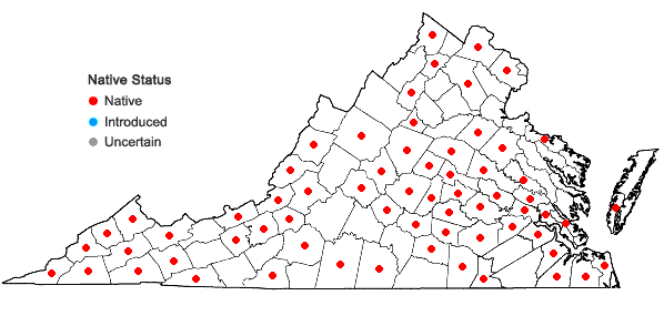 Locations ofDigitaria ciliaris (Retz.) Koeler in Virginia