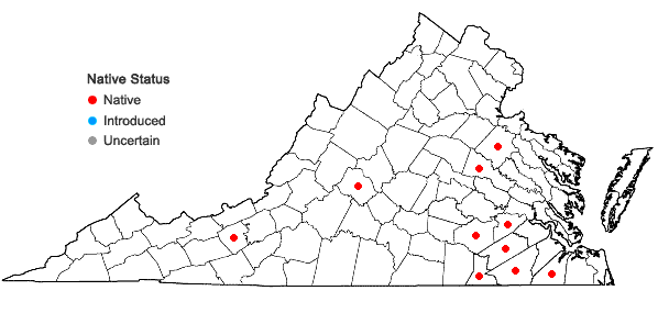 Locations ofDigitaria cognata (J.A. Schultes) Pilg. in Virginia