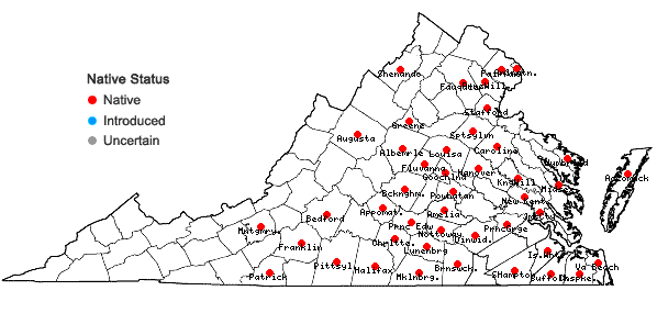 Locations ofDigitaria filiformis (L.) Koeler var. filiformis in Virginia