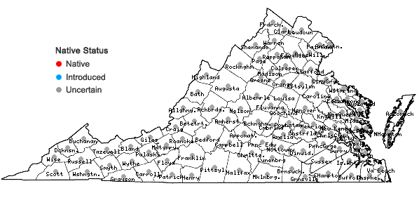 Locations ofDigitaria sanguinalis / ciliaris complex in Virginia