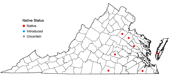Locations ofDigitaria villosa (Walt.) Pers. in Virginia