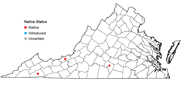 Locations ofDiphasiastrum × habereri (House) Holub in Virginia