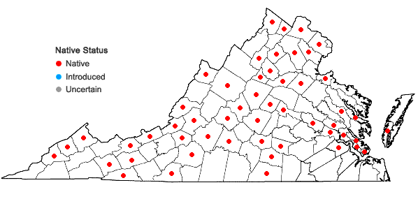 Locations ofDiphyscium foliosum (Hedw.) D. Mohr in Virginia