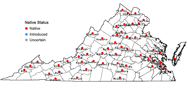 Locations ofDiphyscium foliosum (Hedw.) D. Mohr in Virginia