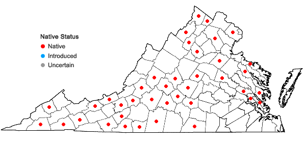Locations ofDiplophyllum apiculatum (A. Evans) Steph. in Virginia