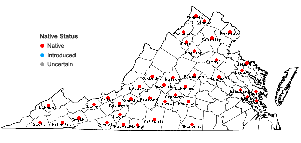 Locations ofDiplophyllum apiculatum (A. Evans) Steph. in Virginia