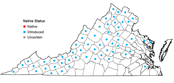 Locations ofDipsacus fullonum L. in Virginia