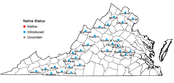 Locations ofDipsacus laciniatus L. in Virginia