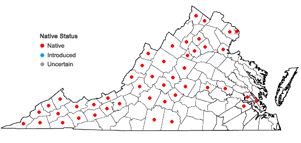 Locations ofDirca palustris L. in Virginia