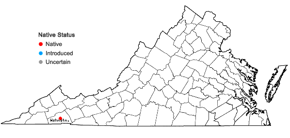 Locations ofDistichium capillaceum (Hedw.) Bruch & Schimp. in Virginia