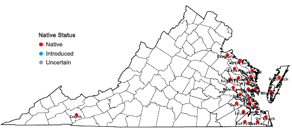 Locations ofDistichlis spicata (L.) Greene in Virginia