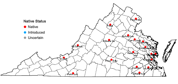 Locations ofDitrichum lineare (Sw.) Lindb. in Virginia