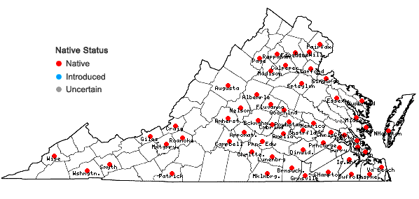 Locations ofDitrichum pallidum (Hedw.) Hampe in Virginia