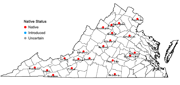 Locations ofDitrichum pusillum (Hedw.) Hampe in Virginia